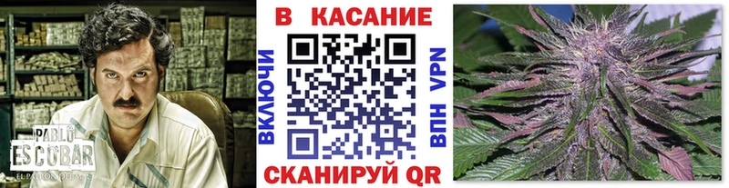 Купить закладку Псилоцибиновые грибы  КОКАИН  Альфа ПВП  Лсд 25  Конопля  МЕФ  Моршанск