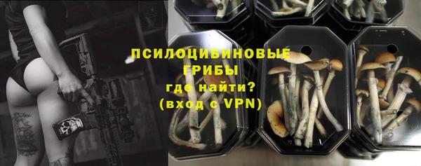 экстази Богородск