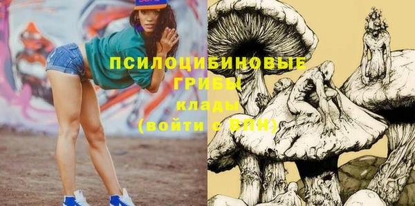 PSILOCYBIN Богородицк