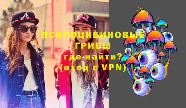 PSILOCYBIN Богородицк