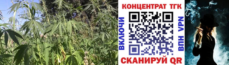 ТГК Wax  Купить  Моршанск 