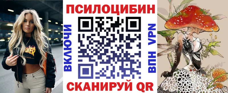 Псилоцибиновые грибы Psilocybe  Купить закладки  Моршанск 