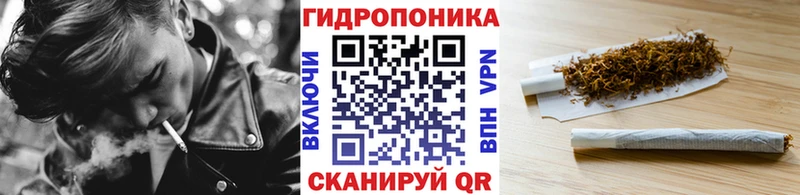 Купить закладки  Моршанск  Бошки Шишки Amnesia 